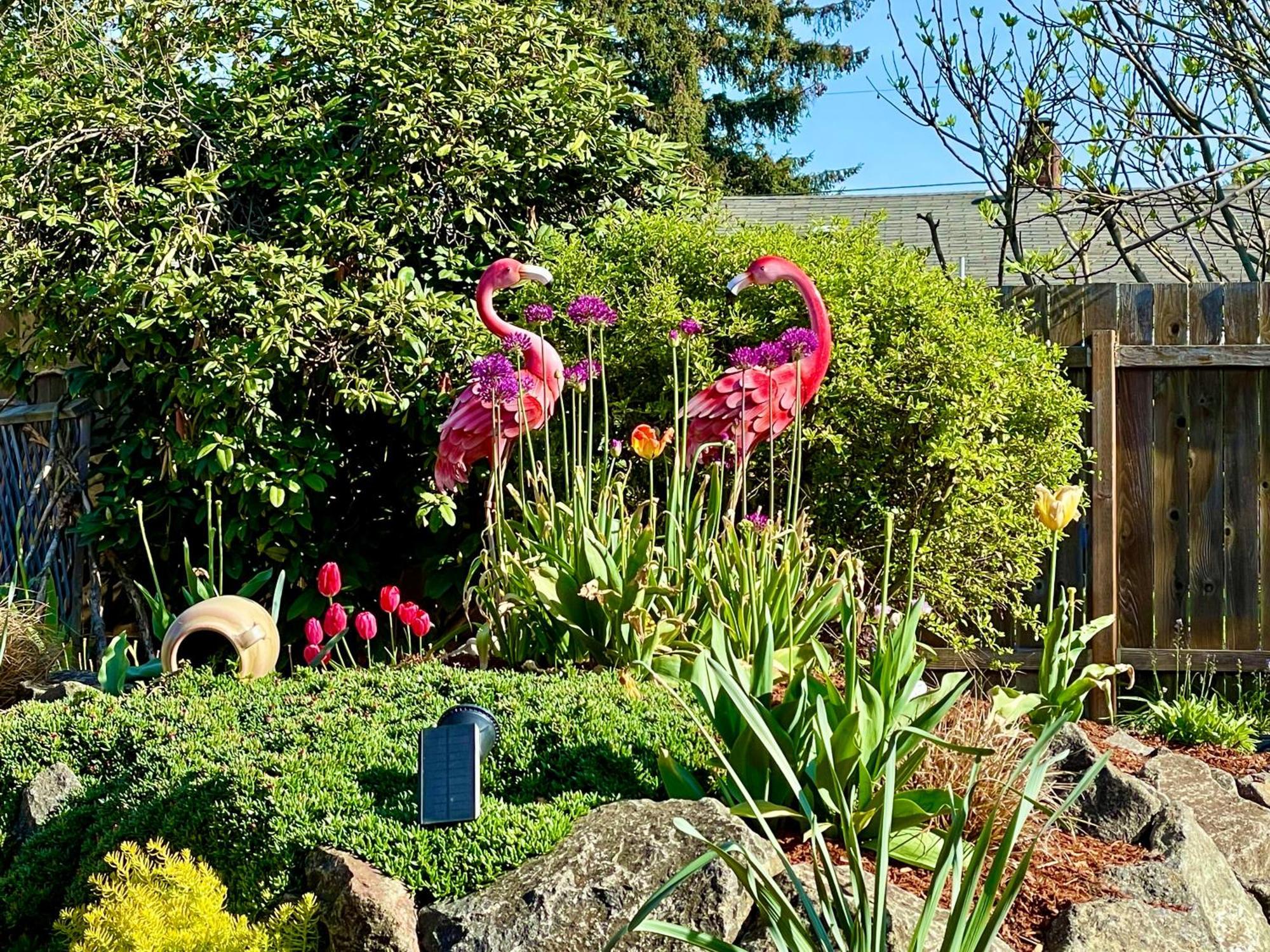 Vila Colorful 50'S Ranch In The Heart Of Eugene Exteriér fotografie